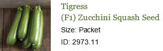 0120_20201223_1205_2021 Seed Order - Tigress Zucchini Squash.jpg